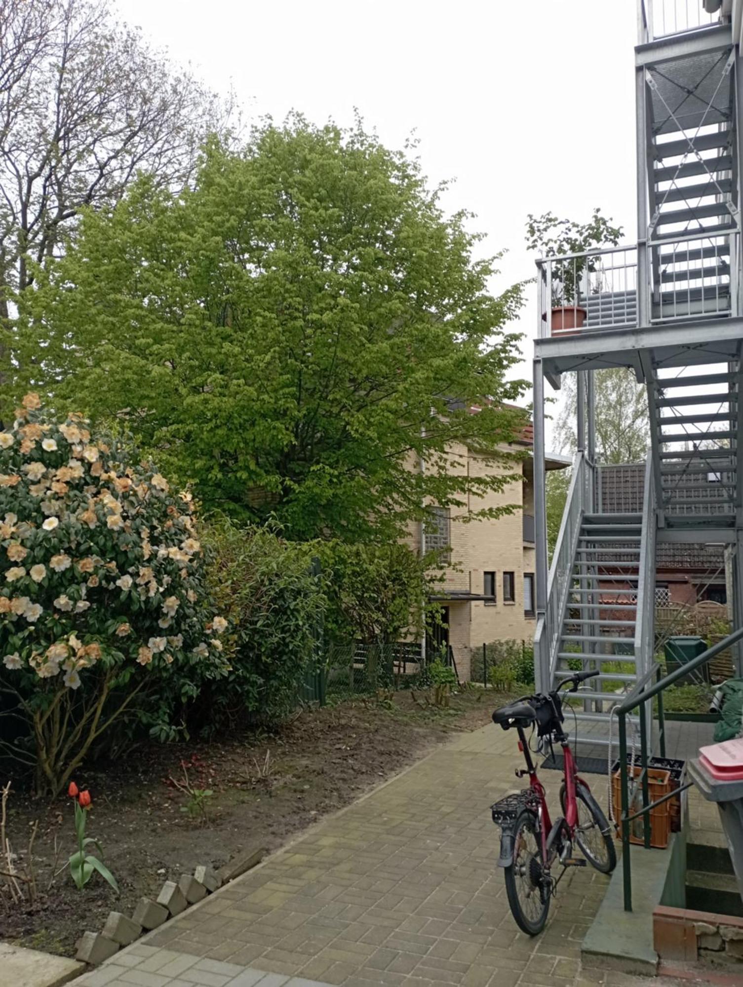 Peaceful Apartment-3 Zi, Loggia & Garden In Blankenese Hamborg