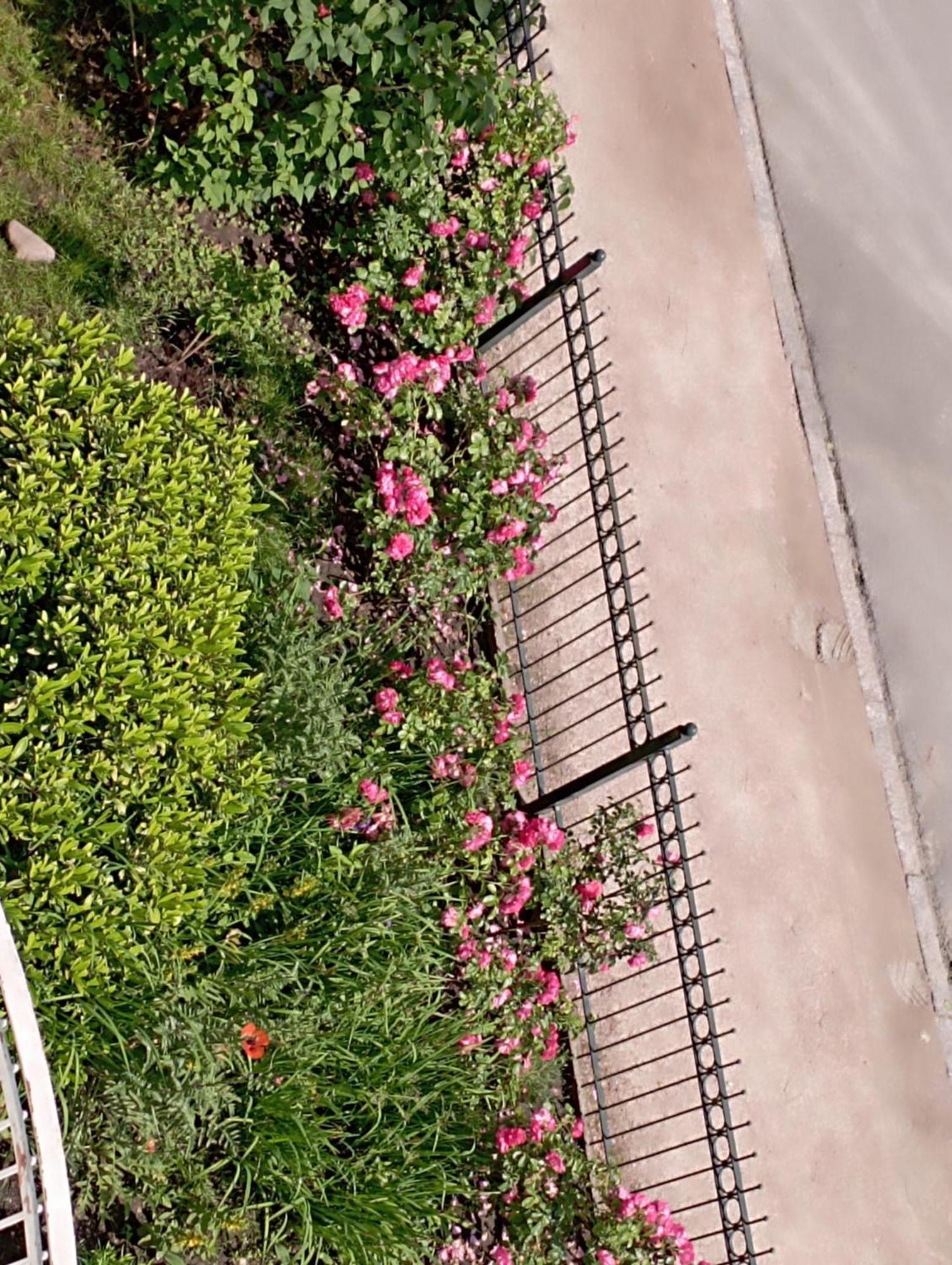Lejlighed Peaceful Apartment-3 Zi, Loggia & Garden In Blankenese Hamborg